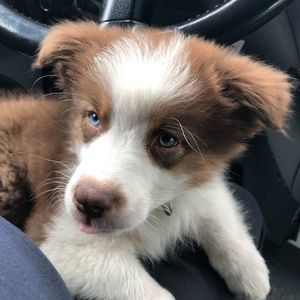 Meet your Posher, Gary